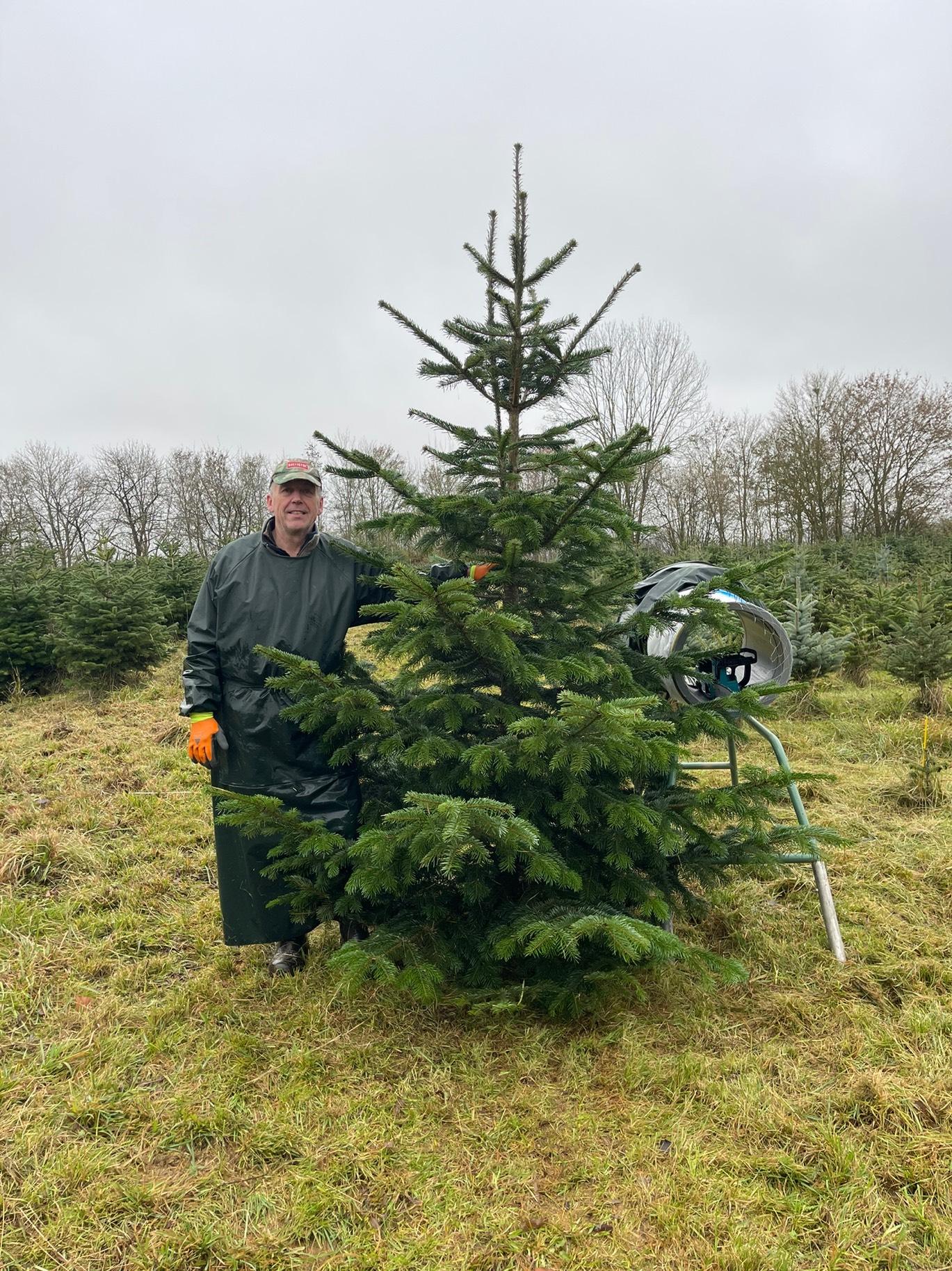 Weihnachtsbaum mit Erzeuger